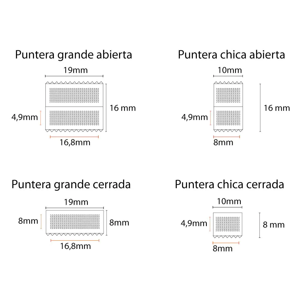 Chapita Cocodrilo - Imagen 2